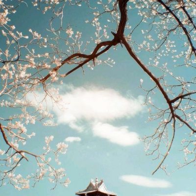 影帝传奇手游(暂未上线)v1.1 安卓版